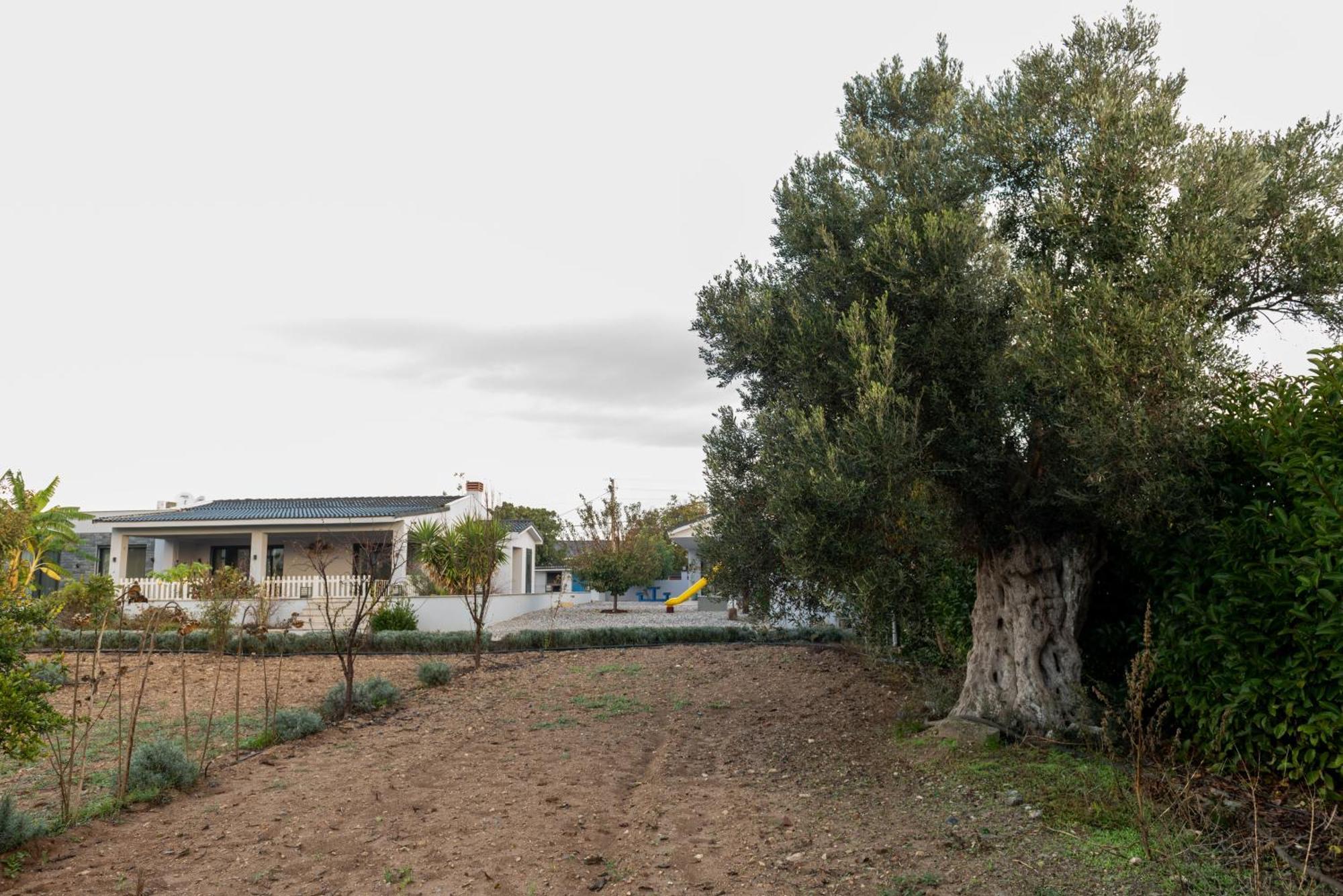 Hotel Bi ' Masa Culinary Farm Urla Exterior foto